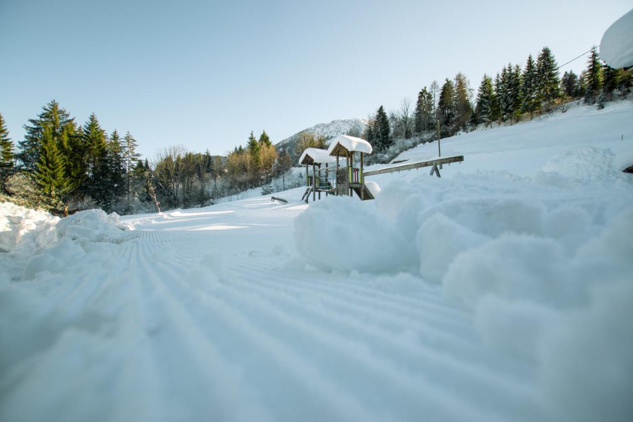 Chalets Und Apartments Hauserhof Nassfeld Schlanitzen ภายนอก รูปภาพ